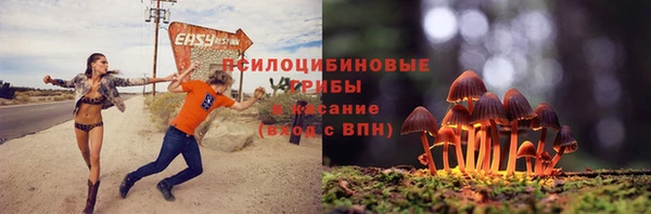 твердый Алексеевка