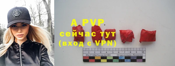 твердый Алексеевка