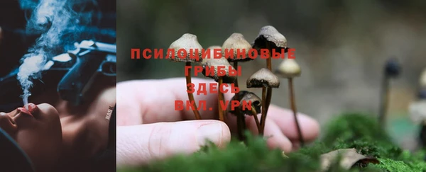 твердый Алексеевка