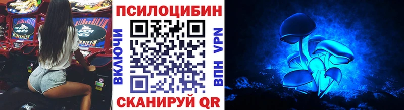 Псилоцибиновые грибы Psilocybine cubensis Новошахтинск